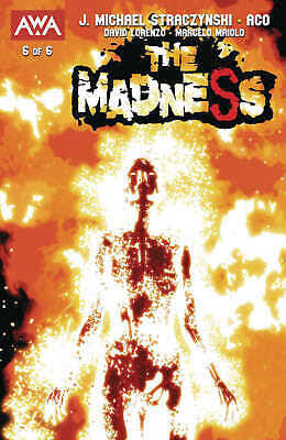 The Madness Issue 6 (Cover A)