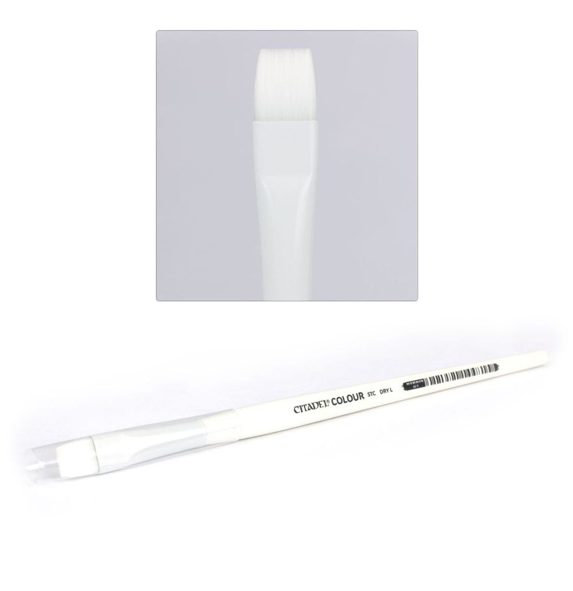 Citadel Paintbrush - Base L - Synthetic